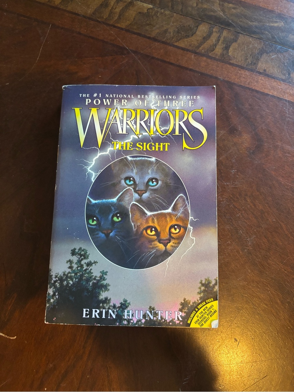 Hunter Warriors: The Sight — Purple and Yellow Cover